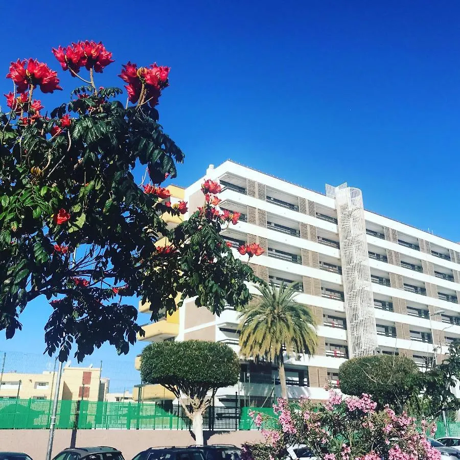 Apartment Sea View Las Arenas 815 Naturist Fkk Lgbt Maspalomas
